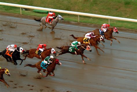 drf horse racing